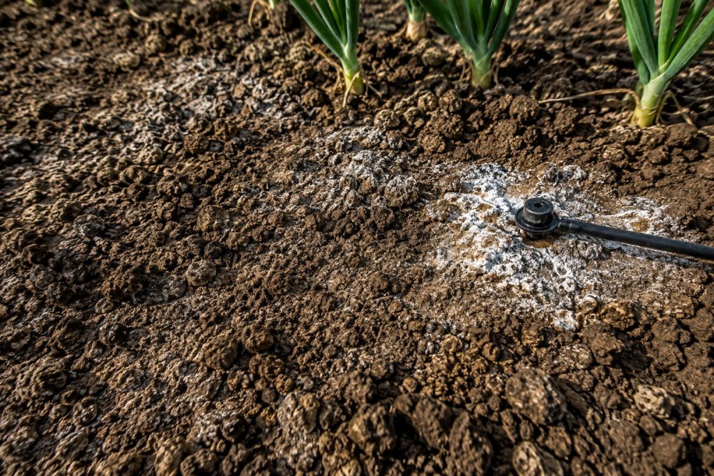 Suelo de cultivo con costra blanca de sales alrededor de un gotero